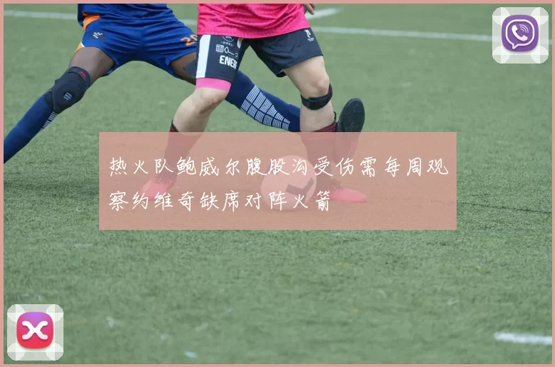热火队鲍威尔腹股沟受伤需每周观察约维奇缺席对阵火箭